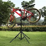 Cbs- Biking And Summer *