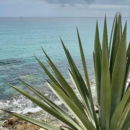 Проживание в семье Cbs- Biking And Summer *