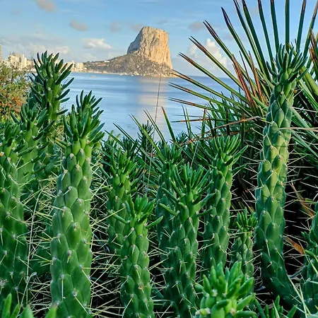 Проживание в семье Cbs- Biking And Summer *